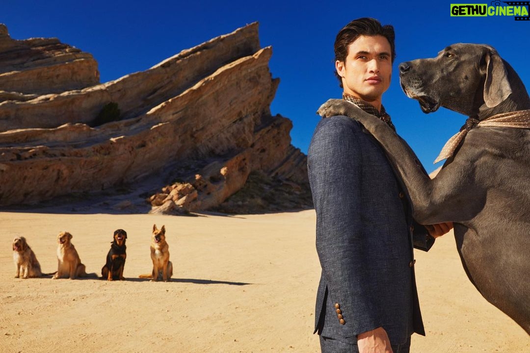 Cole Sprouse Instagram - First, it was @melton birthday yesterday, so every one please say happy birthday to this slab of A5 wagyu beef. Second, he and I have been wanting to do this shoot with a bunch of dogs for a loooong time, and in honor of his incredible performance and dedication in #maydecember , what better time to show him as the leading man (๐) I know him to be. So proud of you brother. Thanks to @netflixqueue and the team that helped us wrangle the pups. Iโll be posting more this week so keep an ๐๏ธ out. Styling: @samanthamcmillen_stylist Grooming: @hairbycandicebirns First assist: @projectpatricio Prod: @photobombproduction