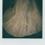 Connar Franklin Instagram - This from my first dress fitting shot by @huntermoreno 🥹 Stepping into @loho_bride felt like entering a fairytale. From the moment I walked in, @christynbaird & their team made every step of finding my dream dresses feel enchantingly effortless.. ✨💍( I had the @daniellefrankelstudio dresses on my Pinterest board for years, and I fell in love with the @eliesaabworld veil & instantly.)