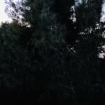 Constantine Markoulakis Instagram - Στο καλό 2020! Δεν θα μας λείψεις. Αλλά θα σε θυμόμαστε, δε θα σε ξεχάσουμε ποτέ.