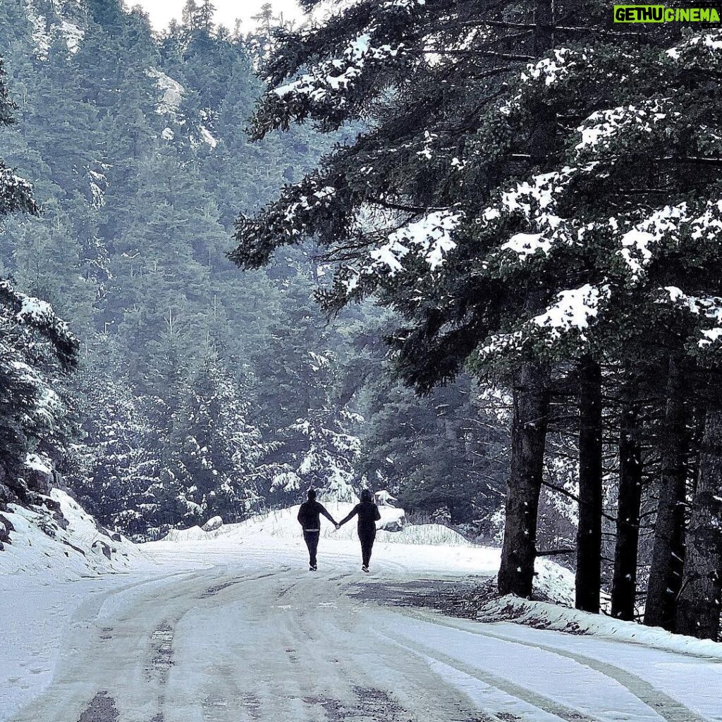 Constantine Markoulakis Instagram - The road less traveled #friends #winter #σαντορεπόδενέχει @elenaskoula @smaragda_karidi_official @atheridis_thodoris