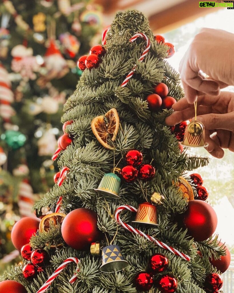 Constantine Markoulakis Instagram - Αυτά τα Χριστούγεννα είναι διαφορετικά. Αλλά τα Χριστούγεννα είναι πάντα γιορτή: στολίσαμε το δέντρο και το δωμάτιο γέμισε αρώματα. #nespresso.gr #spon