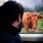 Constantine Markoulakis Instagram - ...γυρίζει και μου λέει «Καλό ΜΜΜΜΜήνα» #december #winter