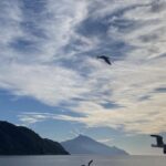 Constantine Markoulakis Instagram – Απ’ αυτό το απίθανο σημείο της γης, εδώ που ο Χρόνος έχει καταργηθεί, Καλή Χρονιά σε όλους, με υγεία, αγάπη και γαλήνη. Mount Athos