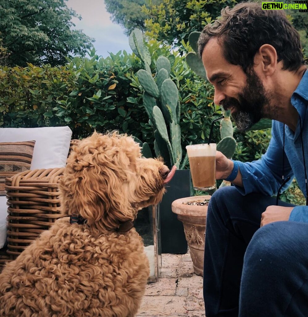 Constantine Markoulakis Instagram - Η εξέλιξη των ειδών: όταν ο σκύλος σου, αντί για το κόκκαλό του, λιγουρεύεται το φρέντο σου. #dog #NespressoFreddo #spon