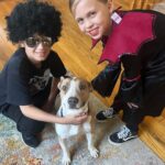 Craig Shoemaker Instagram - Our first Halloween with Buffy, our new rescue dog. Left her alone while we hit the streets. Well, Buffy decided to go on her own trick-or-treat, pulling down any food items she could grab from the counter, including my protein powder, which made our home and her entire head look like the last scene from Scarface. This before pic should have warned me. That’s the look of a coke animal about to go on a run! Do you ever have any moments in your life where you’re pissed off, but you are have to laugh? #happyhalloween #surprise #laughitoff #doglife