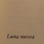 Cristina Jacob Instagram - "We are each other's harvest: we are each other's business: we are each other's magnitude and bond."