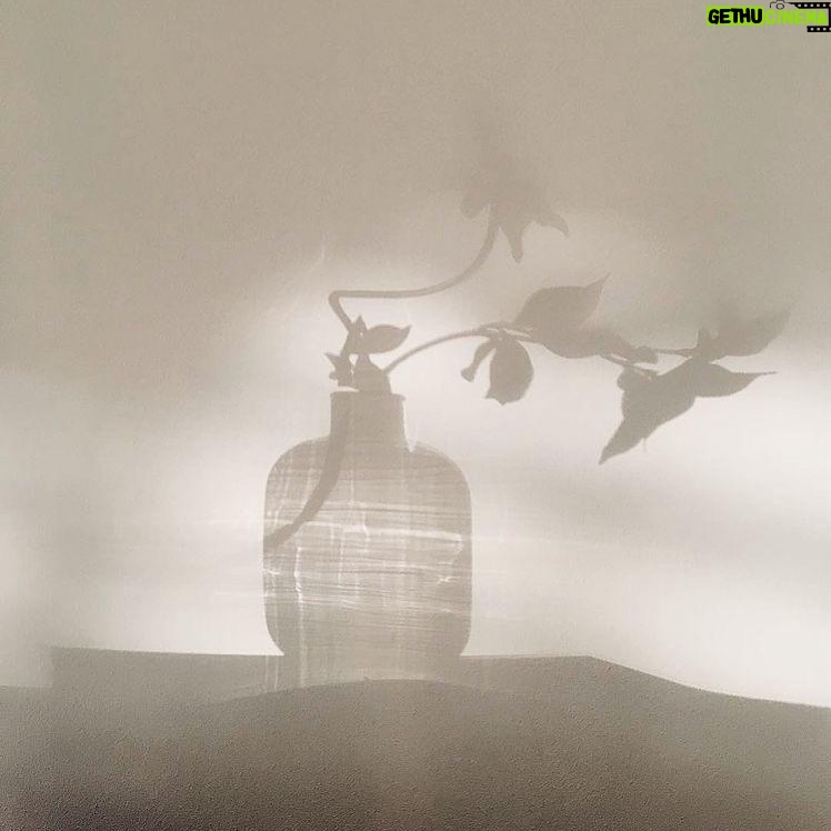 Cristina Jacob Instagram - "We were searching for ourselves in each other." Sergei Parajanov
