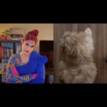 Cynthia Lee Fontaine Instagram – 🏠Conveniently Cucu 🏠
Enjoy our new Mini Episodes
 
Episode 2:  Potty Training the house down boots ! 

We filmed this before my surgery. With love for all of you Mis amores !
Available at @youtube @tiktok @instagram and @facebook 

And my Baby dog has an account ! Please follow @viagotheshihtzu 👍

🏠Filming , production and editing by @armando.blue 
🏠Filming assistant by @musssbejusss 
🏠Creative Concept, costume design and make up by me . 
Please support!

#fyp #reels #foryourpage #rupaulsdragrace #ConvenietlyCucu #mocumentary #comedy #drag #actriz #esposa #mother #housekeeping  #perros #aventuras #shihtzu #dogs #puppies #trainning