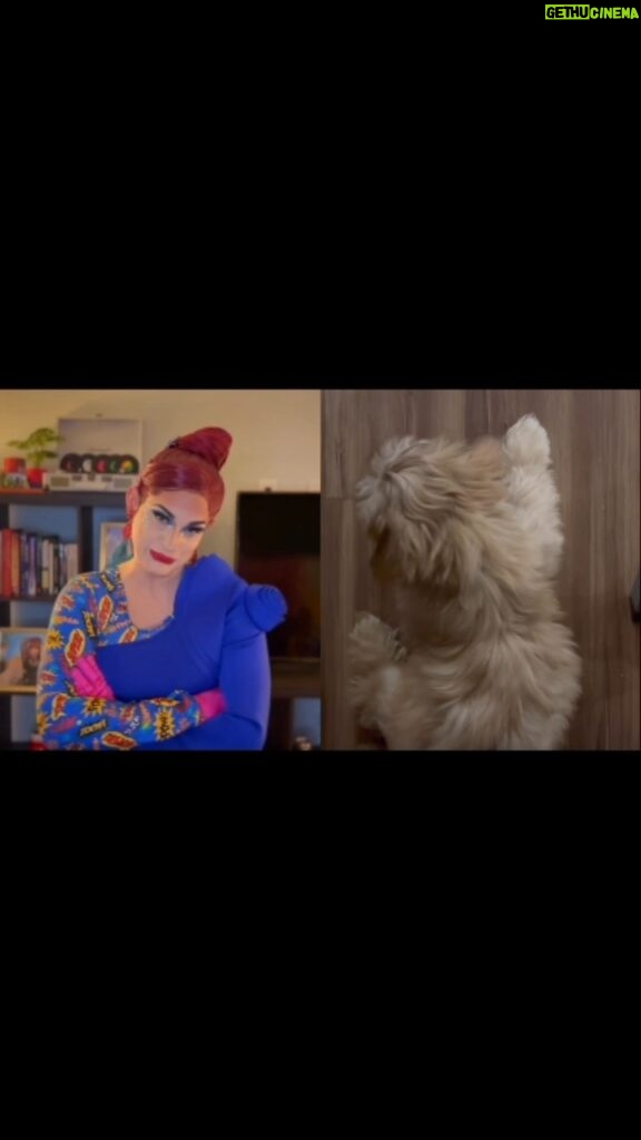 Cynthia Lee Fontaine Instagram - 🏠Conveniently Cucu 🏠 Enjoy our new Mini Episodes Episode 2: Potty Training the house down boots ! We filmed this before my surgery. With love for all of you Mis amores ! Available at @youtube @tiktok @instagram and @facebook And my Baby dog has an account ! Please follow @viagotheshihtzu 👍 🏠Filming , production and editing by @armando.blue 🏠Filming assistant by @musssbejusss 🏠Creative Concept, costume design and make up by me . Please support! #fyp #reels #foryourpage #rupaulsdragrace #ConvenietlyCucu #mocumentary #comedy #drag #actriz #esposa #mother #housekeeping #perros #aventuras #shihtzu #dogs #puppies #trainning