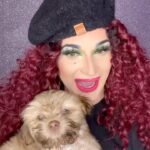 Cynthia Lee Fontaine Instagram - Welcome to our family the beautiful Cuquito . This beautiful shih tzu is our new baby puppy . Your Papi Cynthia , Daddy @amando.blue and your Big Brother Viago , received you with open arms and love ❤️ #shihtzu #dogsoftiktok #rupaulsdragrace #Cuquito #fyp #viral #gaycouple #family #love #pet #mascotas