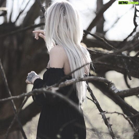 Daisy Coleman Instagram - Ye be the witch of the woods; comforted by the talks you have with the plants as isolation is your only friend here. • • • #blackandgrey #tattooedmodels