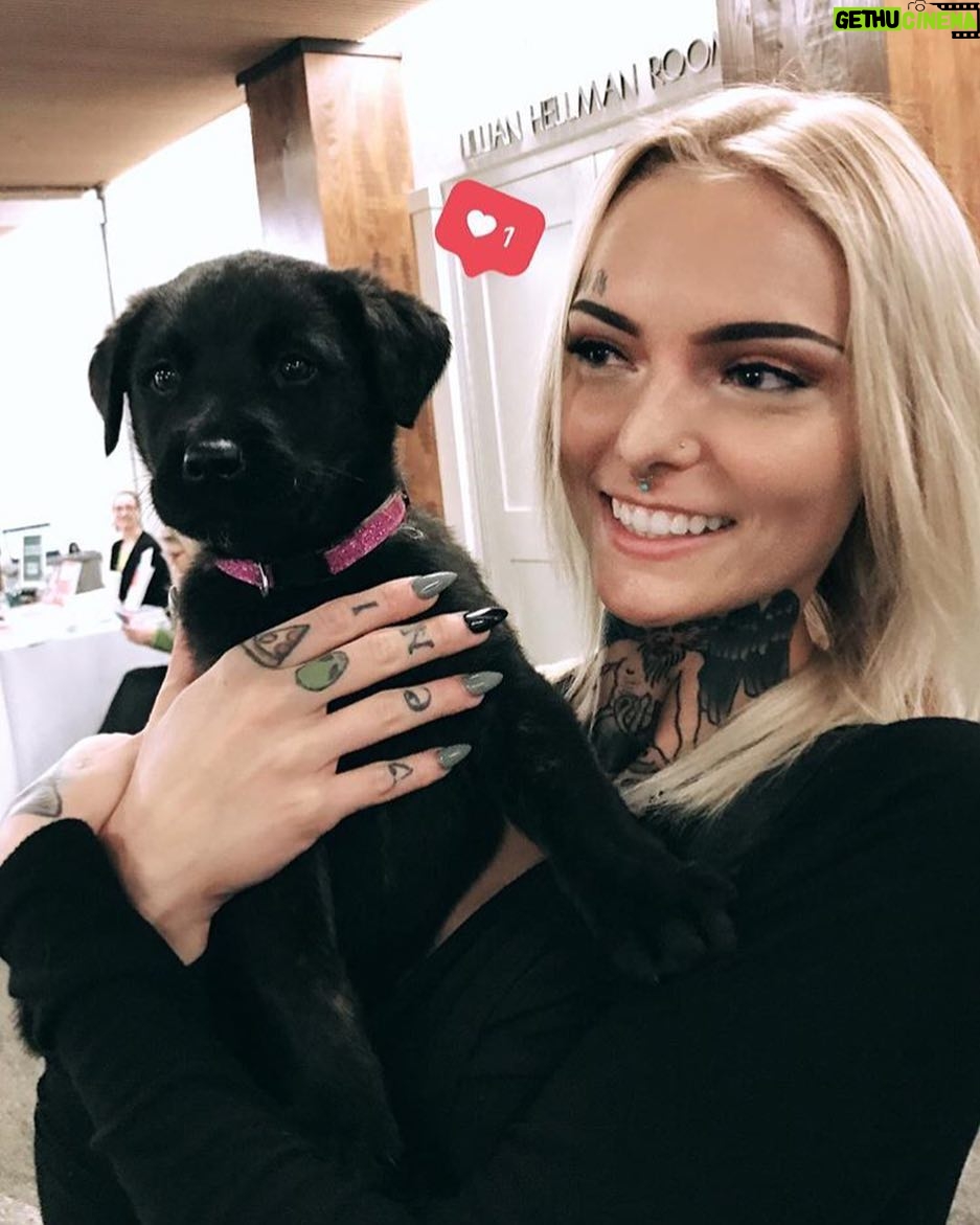 Daisy Coleman - 2.2K Likes - I found our new mascot in Eugene, @safe_bae 💝