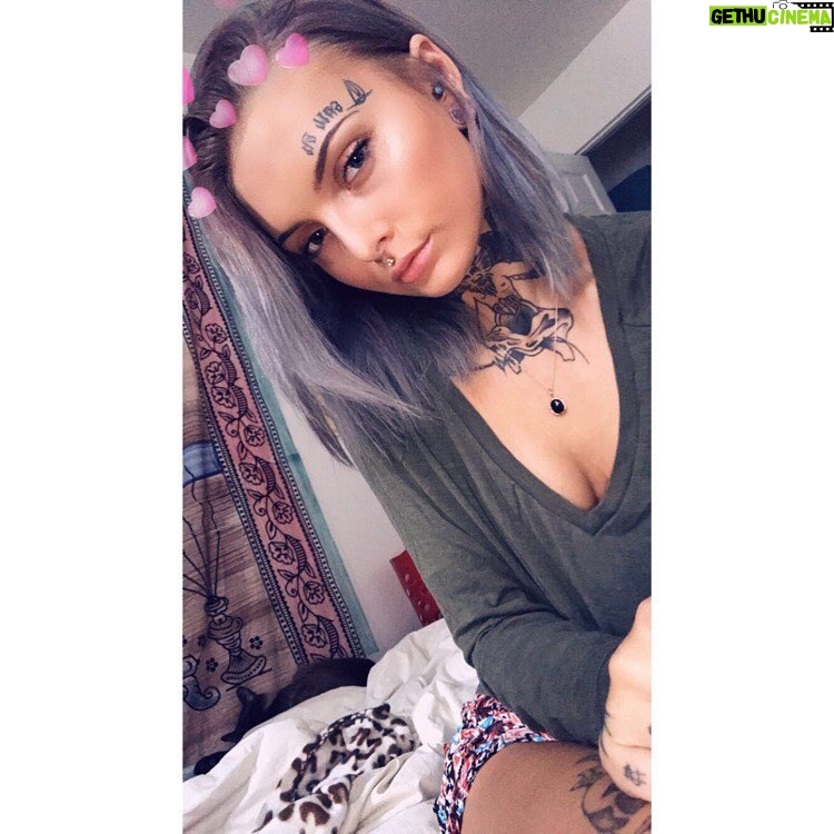 Daisy Coleman - 2.2K Likes - Send dog pics pls 🖤