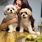Daisy Shah Instagram - Happy Birthday my Miko bubba ❤️ . . . #mikoturns2 #happybirthday #lovemyfurbabies #dogmom