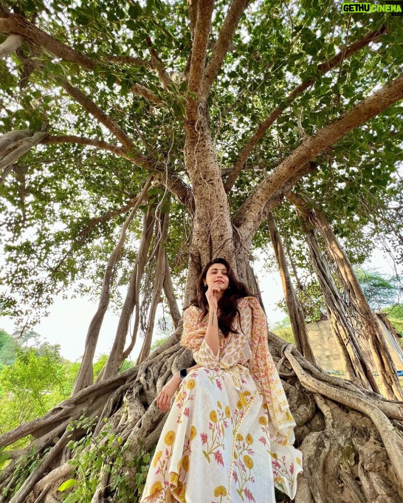 Daisy Shah Instagram - Yahan har pal pal pal beautiful 💚🎶 . . . #natureatitsbest #daisyshah