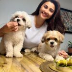 Daisy Shah Instagram - Happy Birthday my Miko bubba ❤️ . . . #mikoturns2 #happybirthday #lovemyfurbabies #dogmom