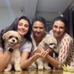 Daisy Shah Instagram - Happy Birthday my Miko bubba ❤️ . . . #mikoturns2 #happybirthday #lovemyfurbabies #dogmom