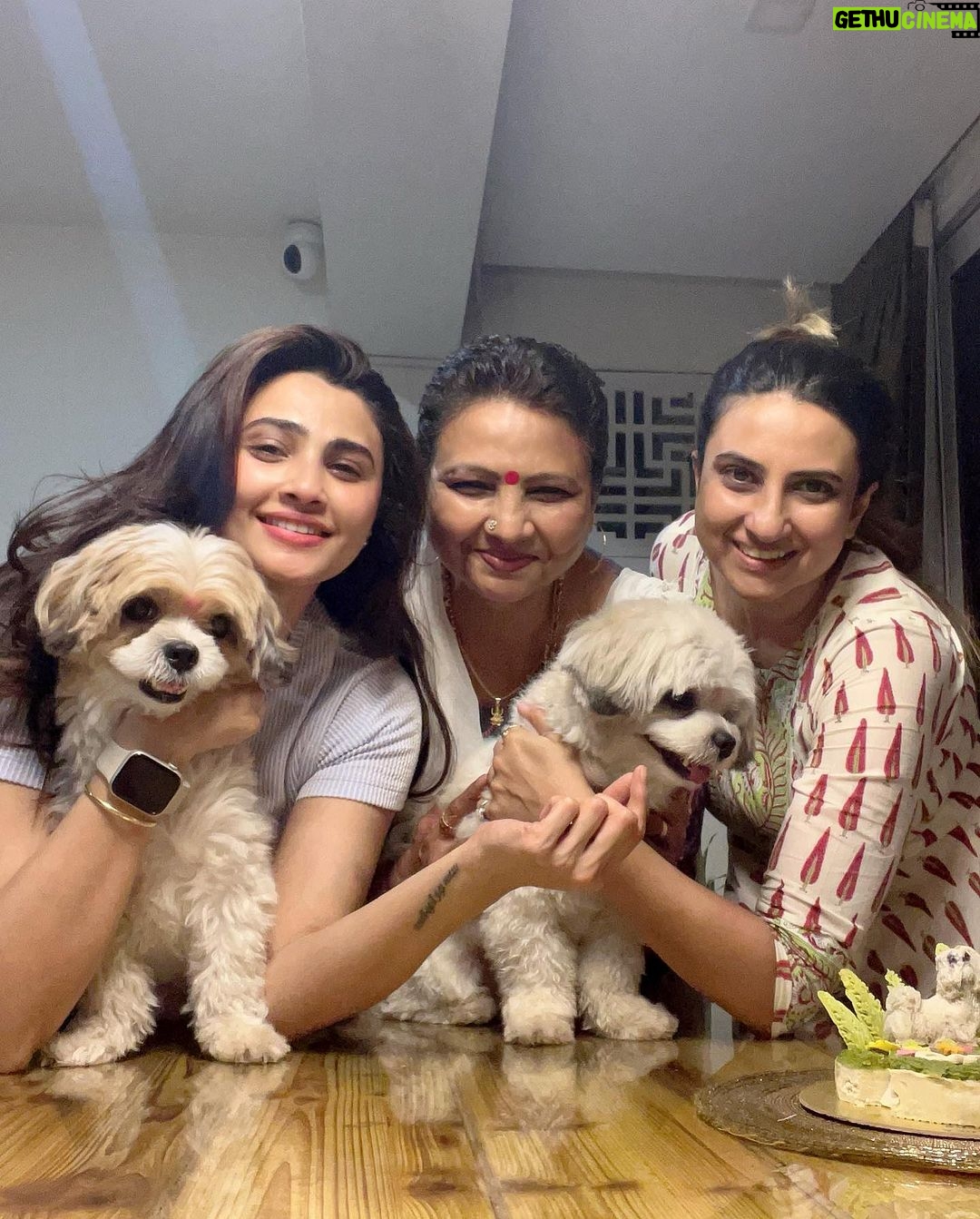 Daisy Shah Instagram - Happy Birthday my Miko bubba ❤️ . . . #mikoturns2 #happybirthday #lovemyfurbabies #dogmom