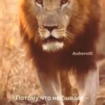 Damir Ismagulov Instagram –