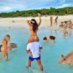 Dan Bilzerian Instagram - 🐖