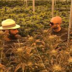 Dan Bilzerian Instagram - Prison is for rapists, thieves, and murderers. If you lock someone in a cage for smoking a plant that makes them happy, then you're the fucking criminal.- @joerogan