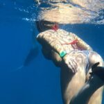 Dan Bilzerian Instagram – Ocean Sunfish Galapagos Islands