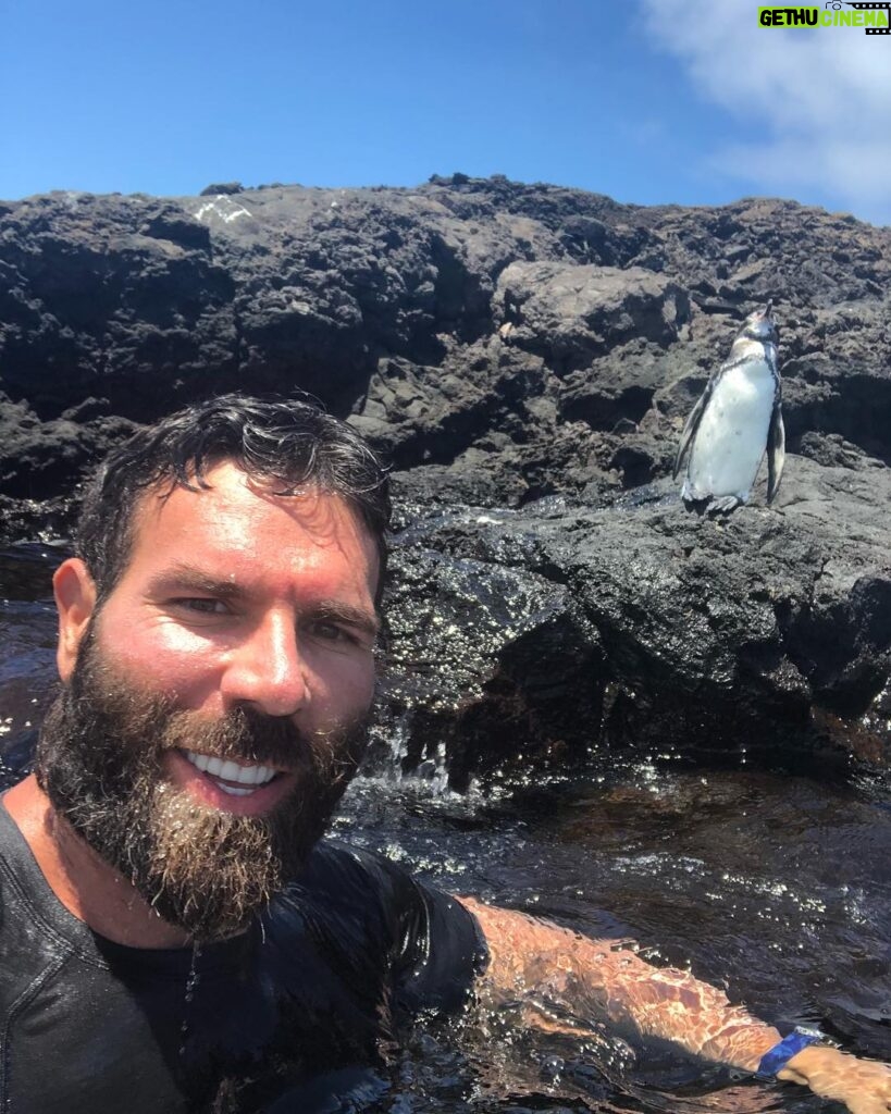 Dan Bilzerian Instagram - I always wanted to swim with baby penguins Galapagos Islands