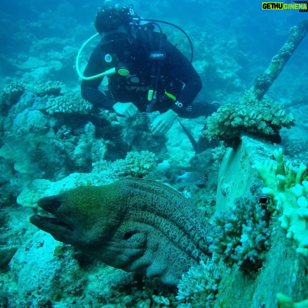 Dan Bilzerian Instagram - Fijian sea monster