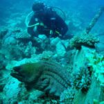 Dan Bilzerian Instagram – Fijian sea monster