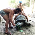 Dan Bilzerian Instagram - 600 lb, 100 yr old Galapagos tortoise, what an awesome animal Necker Island