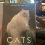 Dan Bilzerian Instagram - Did y’all get what you wanted for Xmas? I got a dab rig and a book of cats