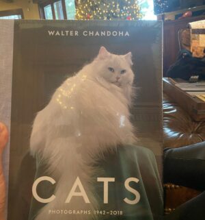 Dan Bilzerian Instagram - Did y’all get what you wanted for Xmas? I got a dab rig and a book of cats