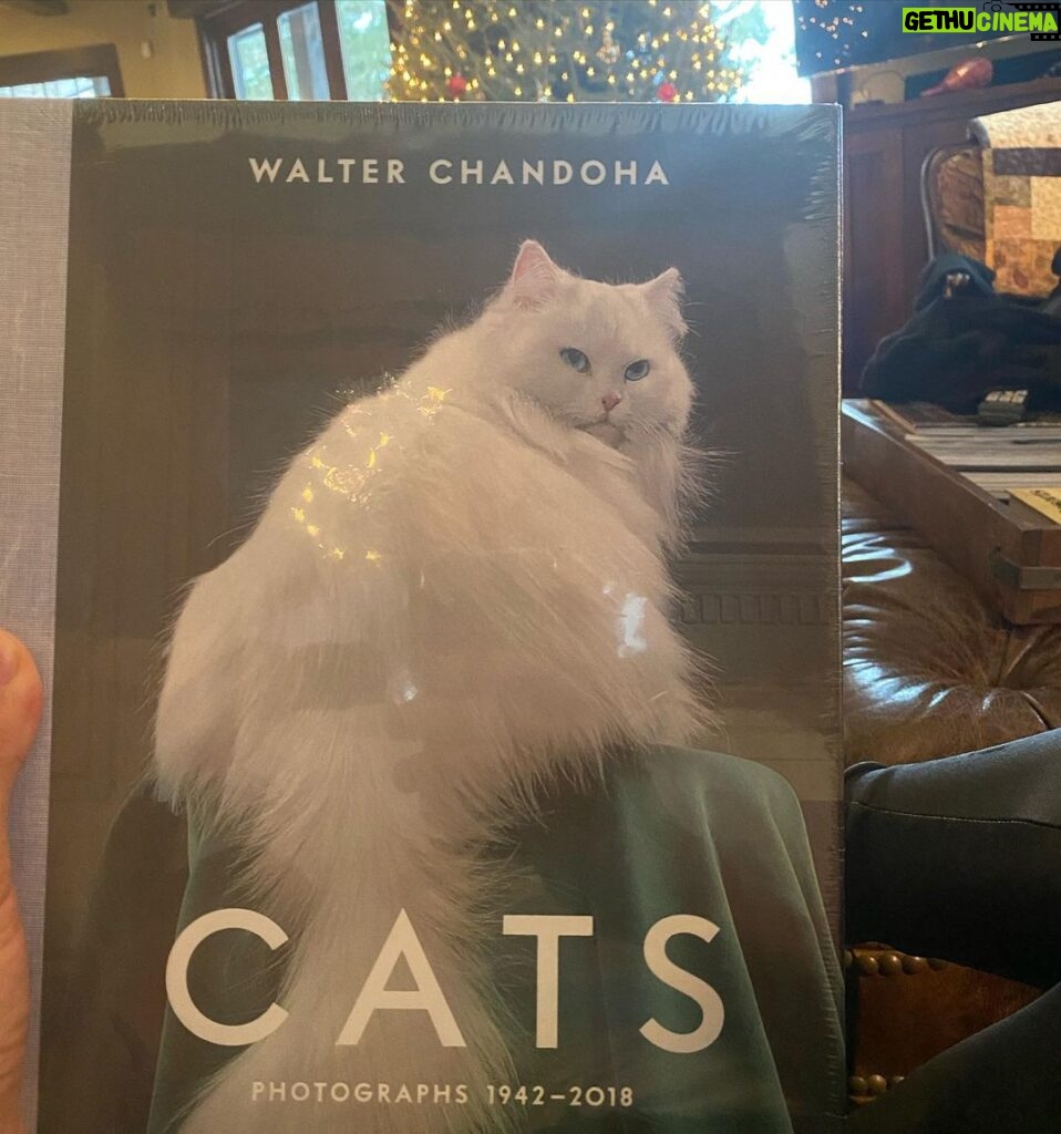 Dan Bilzerian Instagram - Did y’all get what you wanted for Xmas? I got a dab rig and a book of cats