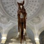 Daniela Collu Instagram – C’è un cavallo imbalsamato appeso in mezzo alla stanza di un museo: è un’opera di Maurizio Cattelan e si intitola Novecento. Ne ho visti un milione di cavalli nei musei, ritratti in posizione rampante, solenni nelle sculture equestri, dipinti nei paesaggi ottocenteschi, morenti nelle scene di guerra di tutte le epoche, a terra, galoppanti, in mandrie, solitari, ma così mai. 
Il collo è deformato, allungato dalla gravità e dalla tassidermia, le zampe a guardarle da sotto sembrano più tozze, più lunghe e larghe, e un senso di precarietà pervade i sensi, mentre si attraversa la stanza sotto questo peso galleggiante, immobile, inerme. Si chiama come il secolo in cui siamo nati, quello in cui la maggior parte delle sciagure che ora non sappiamo manovrare sono state costruite, un secolo di errori, di scoperte, di sconfitte e vittorie, di grandi passi per l’umanità e di crisi esistenziali senza ritorno. È la natura morta più disorientante, straniante e cruda che si possa immaginare, parla di simboli decaduti, di corpi infranti, di certezze mancate, di fallimenti annunciati. Di quel senso di impotenza e di inerzia umana che ancora, in un nuovo secolo, ci soffoca terribilmente. #unminutodarte Castello di Rivoli Museo d’Arte Contemporanea
