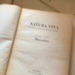 Daniela Collu Instagram - Quella nelle foto è la casa di Luigi Serafini, autore del celeberrimo Codex Seraphinianus, testo fondamentale per tutti i patafisici del mondo e mia personale ossessione da anni. Immaginavo di varcare la soglia di un mondo impossibile e per questo reale, ma non credevo che sarebbe stato tutto finalmente tangibile: la fantasia, la creatività, la visione, l’ispirazione, tutto chiaro e coerente in uno spazio assurdo e familiare. L’arte fa una cosa che nessuna altra invenzione umana fa, mette insieme mondi che non sono nati per parlarsi. Serafini abita - vive in, rende vivo - un luogo in cui i cerbiatti sono placidamente arrampicati sulle librerie, in cui le farfalle volano in cerchio nei salotti, in cui pesci rossi indicano l’ora oceanica mentre coccodrilli di uova sonnecchiano sui tappeti, e racconta storie possibili e surreali, improbabili e accadute. Ora questa casa, mondo ritratto e manifesto, rischia di scomparire perché la proprietà ha deciso di liberare il palazzo, mettendo in pericolo l’opera infinita di sculture, disegni, dipinti, mobili e idee che Luigi Serafini in tanti anni di vita e attività ha creato tra quelle mura. In un paese che concede dignità di opera d’arte da conservare a qualunque frammento di archeologia, in una Roma cartolina impolverata e per sempre imperiale, rischiamo tutti di perdere un approdo al meraviglioso e, nonostante la familiarità con l’incomprensibile di cui stiamo parlando, questo non ha senso. Deve esserci un cavillo legislativo, una mobilitazione culturale e accademica, deve aprirsi una tavola rotonda istituzionale per tutelare quel patrimonio. Ho ragionato su pesci scopa, su uccelli da una piuma sola, su macchine che fabbricano arcobaleni grazie all’ingegno poetico di Luigi Serafini, ma che si rinunci a proteggere tutto questo mi riesce impossibile da credere. La patafisica è la scienza delle soluzioni immaginarie, troviamone una ora, insieme e presto. Grazie a @luigiserafini.official per avermi accolta, per le chiacchiere e la carbonara, grazie a @edoardo.pepino per aver realizzato un mio piccolo gigantesco sogno.