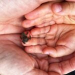 Daniela Collu Instagram - Si inizia e finisce con una bella puledra, in mezzo cose magiche e animalini degli ultimi tempi