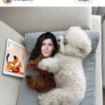 Daniela Collu Instagram - Instagram a volte ti fa desiderare di essere nella vita di qualcun altro, io per esempio ultimamente ho voluto essere: - uno qualunque dei figli di Dawson - un amico di Milo Ventimiglia (va bene pure il driver) - quel cagnolino molto morbido e rilassato che guarda i cartoni di giorno - un meme - una bambina giapponese con un vestitino cute e borsetta top - a letto con Ewan McGregor in una foto degli anni 90 - a letto con Jude Law in una foto degli anni 90