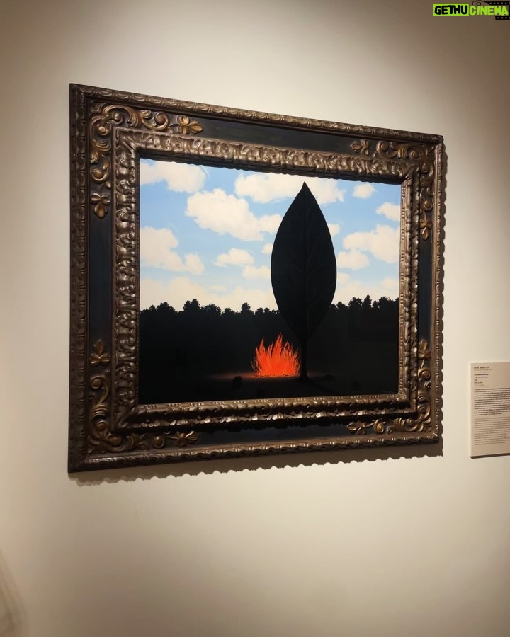 Daniela Collu Instagram - Nell’ultima stanza di @palazzomaffeiverona c’è una frase di Pablo Picasso che dice “Non c’è passato né futuro in arte. Se un’opera d’arte non può vivere sempre nel presente, non se ne deve assolutamente tenere conto”. Arriva come coronamento di un percorso che ha nella meraviglia la sua ragione d’essere, come nei mondi fantastici, quando si sovvertono le regole di logica, di tempo, di spazio. E succede allora che un trittico del Trecento parli con i Concetti spaziali del 1964, che la maternità grezza pietrosa di Arturo Martini si connetta alle Vergini con bambino attraverso i secoli, che una plastica bruciata di Burri e una scena di battaglia di Antonio Calza sembrino fatte della stessa sostanza della guerra, che si possa entrare nei neri di Magritte come se fossero la summa di tutte le ombre dell’umanità, che dei buchi su una tela e le statue di madonne e monachelle siano insieme -e sottolineo insieme - il racconto della sacralità, della trascendenza, della ricerca tutta umana di un al di là che ci ossessiona tutti, da sempre e per sempre. E succede che si torna alla prima sala, dove un neon blu dice che esistono (e servono) nuovi orizzonti per altre visioni e anche nuove visioni per altri orizzonti, ed è questo il segreto di una wunderkammer come Palazzo Maffei, dove con fiducia da rabdomante Luigi Carlon ha radunato bellezza, potenza, valore e arte, e li ha poi restituiti alla sua città, e per estensione al mondo. Visione e orizzonti. Esiste oggi qualcosa di più prezioso? #PalazzoMaffei #PalazzoMaffeiCasaMuseo #adv Palazzo Maffei Verona