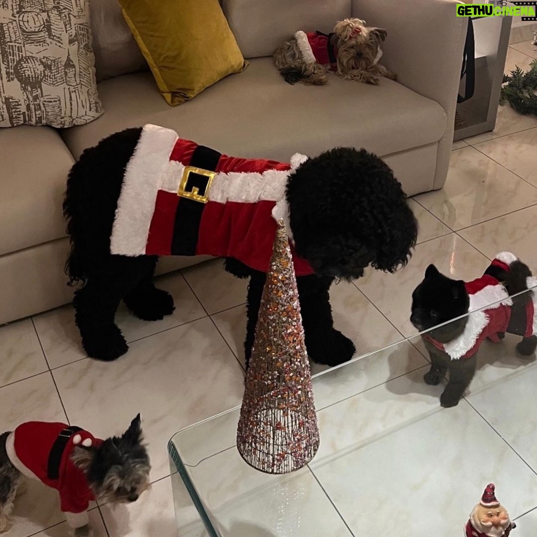 Danna Paola Instagram - Pre navidad familiar méxico -venezolana de mucho amor 🇻🇪 🇲🇽🎄♥️