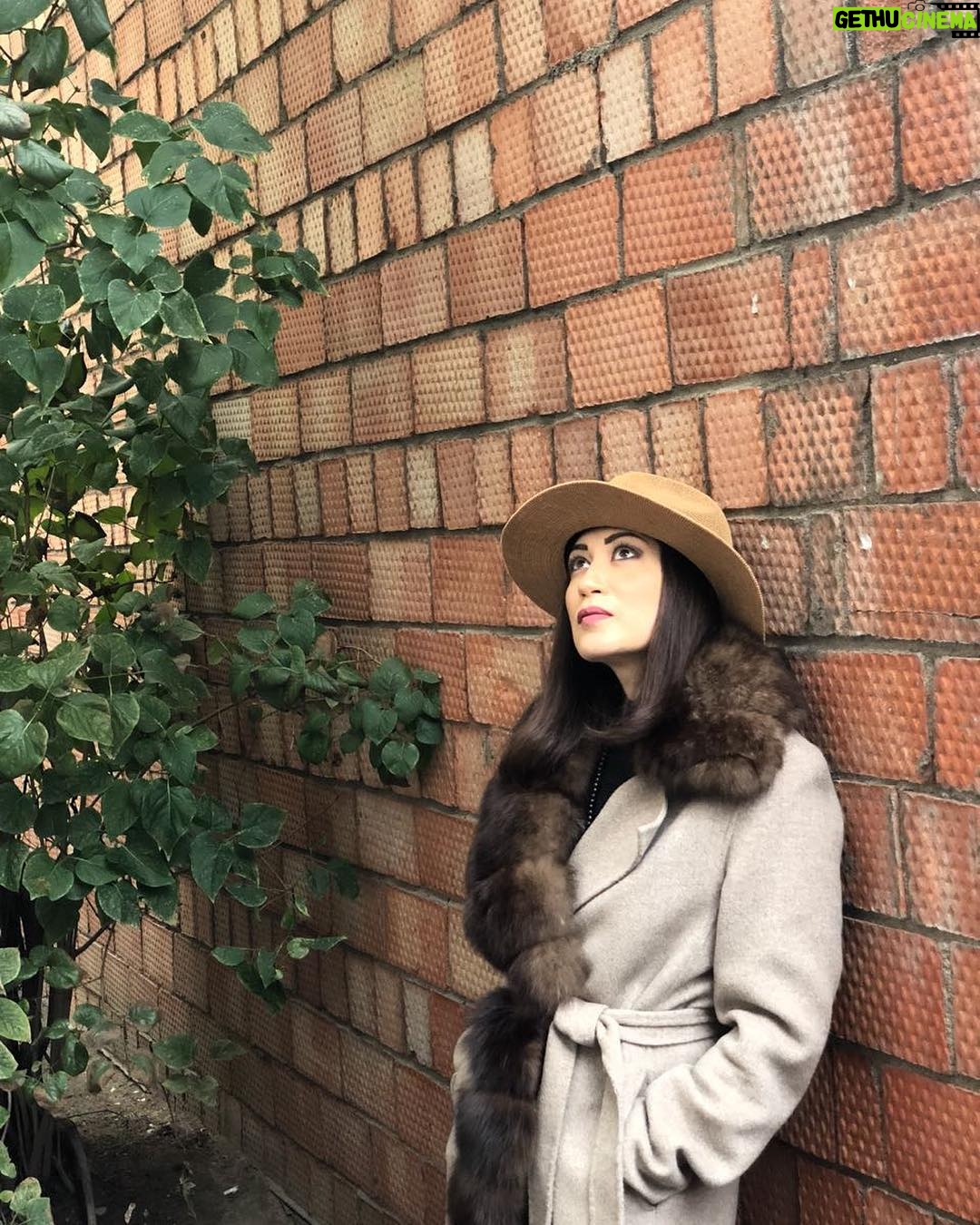 Dariya Voskoboeva Instagram - Розе приписывалось множество уникальных положительных свойств. Одно из них — привлечение любви 💓 . Если не получается встретить любимого, попробуйте провести обряд на любовь с использованием этого цветка. Купите свежайшую розовую или красную розочку и две свечи такого же цвета 🥀 . Принесите покупки домой и займитесь своими делами, но в мыслях держите образ купленного вами цветка. Через некоторое время начните ритуал. Убедитесь, что никто не будет вас отвлекать. Зажгите свечи 🕯 . Желательно включить музыку, которая ассоциируется у вас с любовью и романтикой. Расслабьтесь и сосредоточьтесь на энергии любви, которую излучает роза, ее аромате. Думайте о том, как бы вам хотелось любви, парне, с которым хотелось бы познакомиться. Затем трижды промолвите😌: «Любовь в настоящем, любовь в будущем, любовь-небо надо мной, любовь-земля подо мной. Любовь вокруг меня. Я привлекаю любовь. Любовь спешит ко мне» #ДарияВоскобоева #любовь