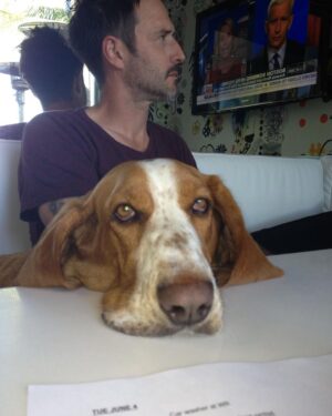 David Arquette Instagram - We had to say goodbye to our dear Dallas. We met Dallas in Detroit thanks to the incredible work of the @lastdaydogs rescue. He was the greatest dog and best friend we could have ever imagined. He went from Detroit to Beverly Hills to Nashville and loved Coco, Charlie and Gus. He loved to eat and sleep (my kinda guy) and we will miss him dearly. Thank you for the wonderful photo of he and I together @jeffvespa