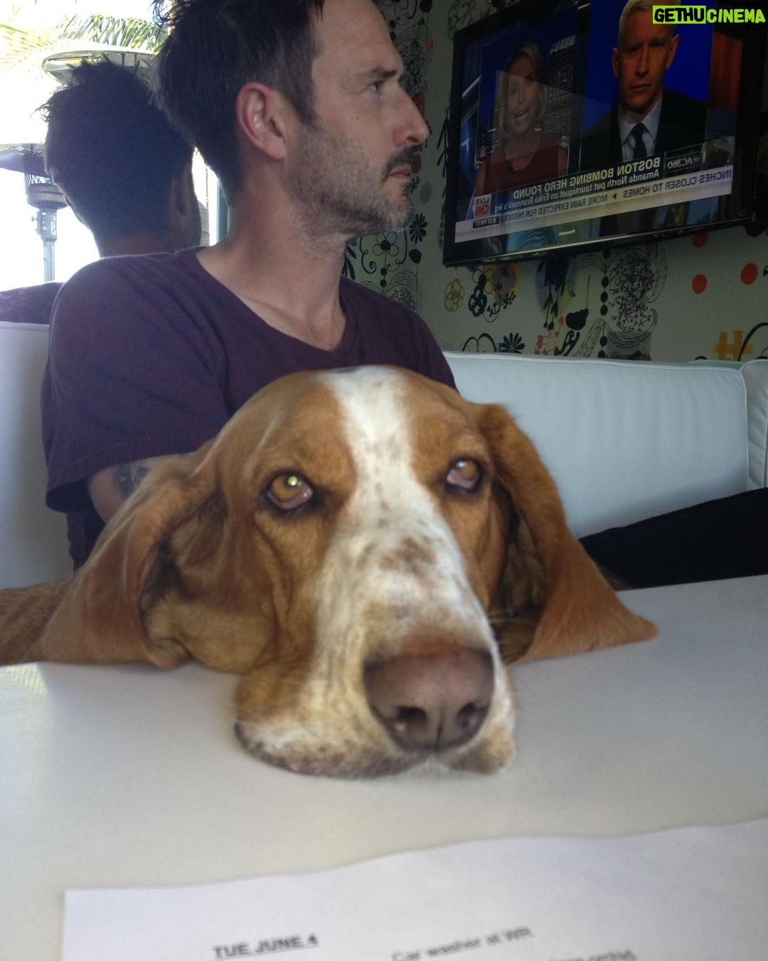 David Arquette - 20.1K Likes - We had to say goodbye to our dear Dallas. We met Dallas in Detroit thanks to the incredible work of the @lastdaydogs rescue. He was the greatest dog and best friend we could have ever imagined. He went from Detroit to Beverly Hills to Nashville and loved Coco, Charlie and Gus. He loved to eat and sleep (my kinda guy) and we will miss him dearly. Thank you for the wonderful photo of he and I together @jeffvespa