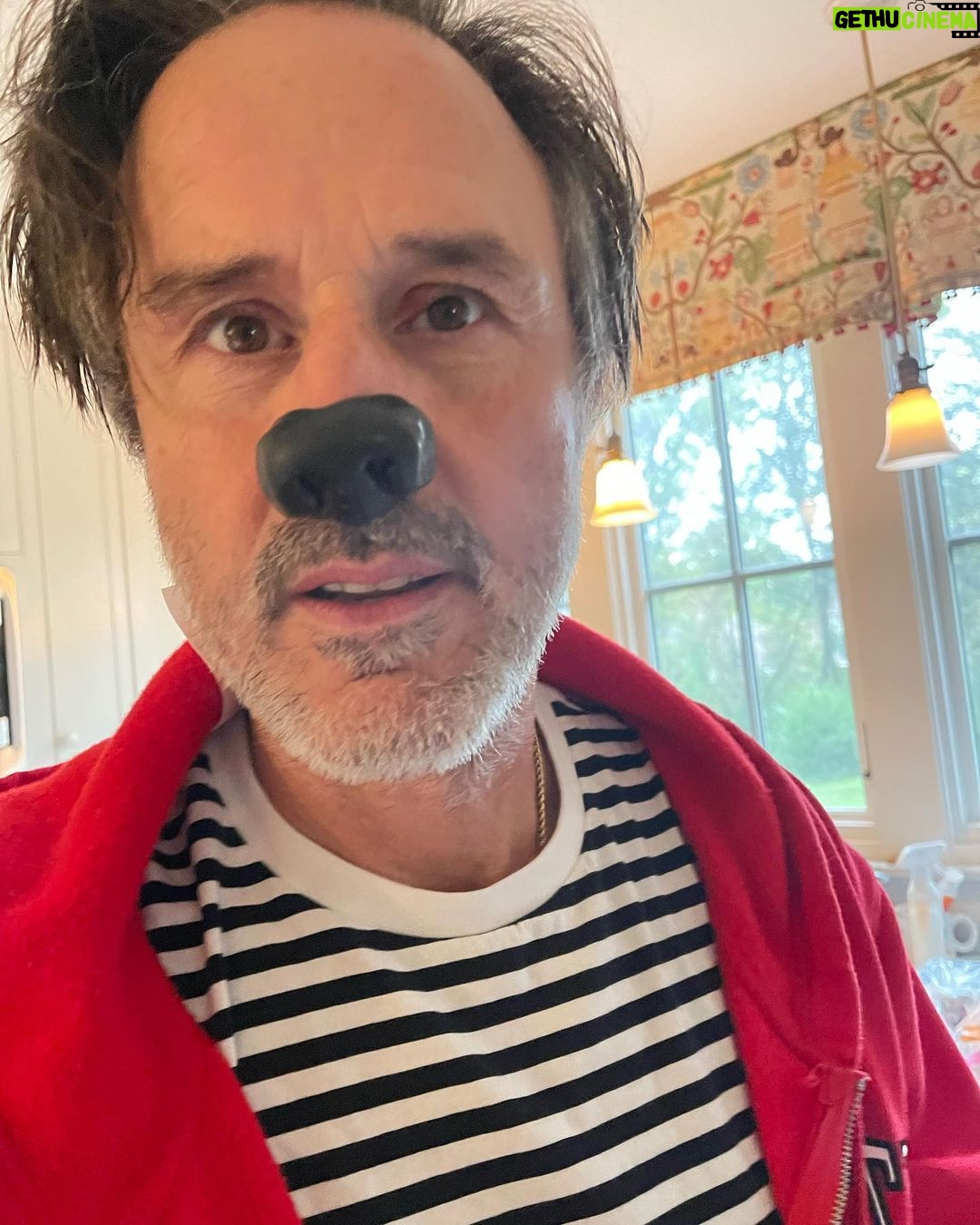 David Arquette - 13.6K Likes - I love my new #halloween noses from @rednosefactory Best Noses in the Biz! Thank you 🤡❤️🌈