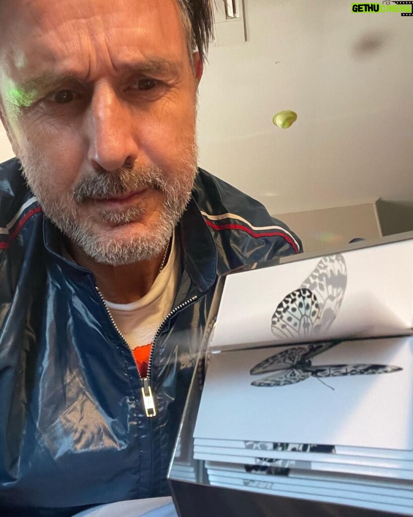 David Arquette Instagram - Thank you @jcfontanive for this magical #butterfly #flipbook I love it! Check out link in his bio and video in story this is the Kite Butterfly