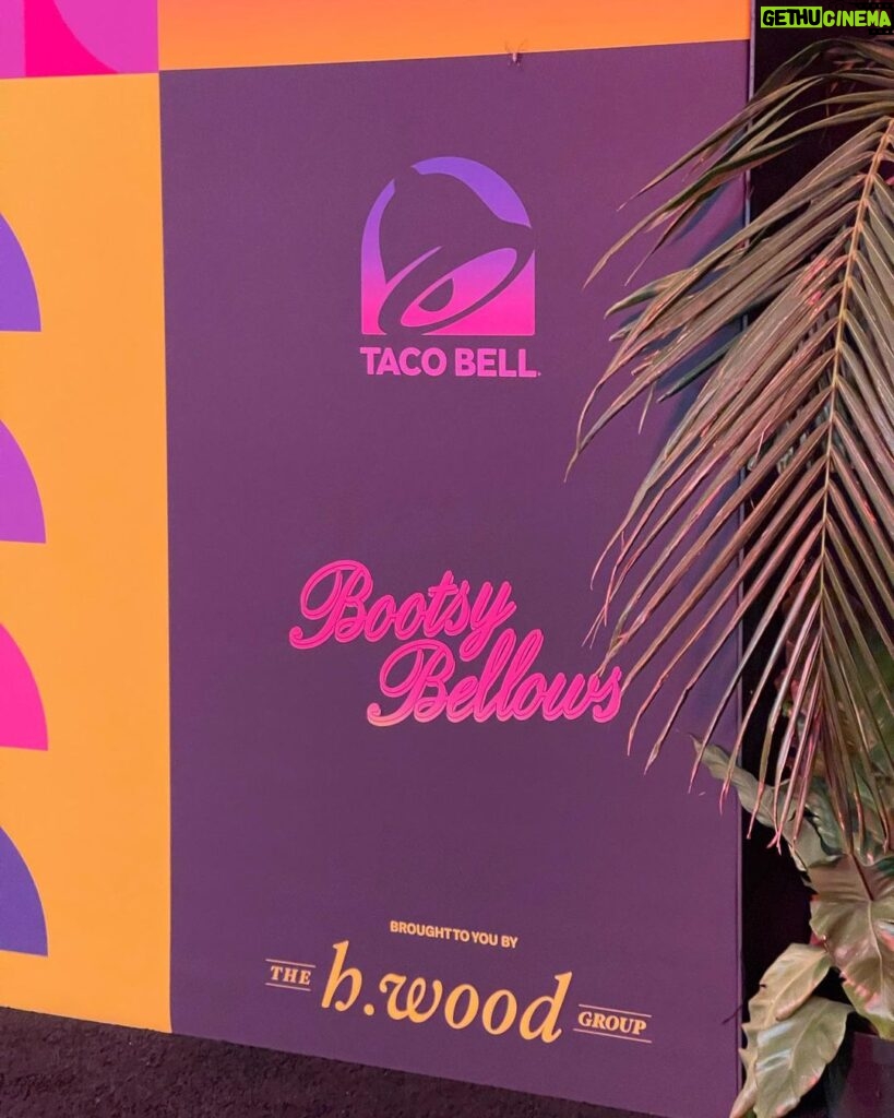 David Arquette Instagram - Thank you @tacobell for a wonderful party with @bootsybellows - Here’s to many more @hwoodgroup Thank you to the wildly talented @djpee.wee #rippaulreubens
