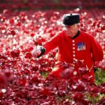 David Beckham Instagram - Today, on Remembrance Sunday, we give thanks for our Armed Forces and we pay our respects for the sacrifice that so many have made for our freedom. #LestWeForget