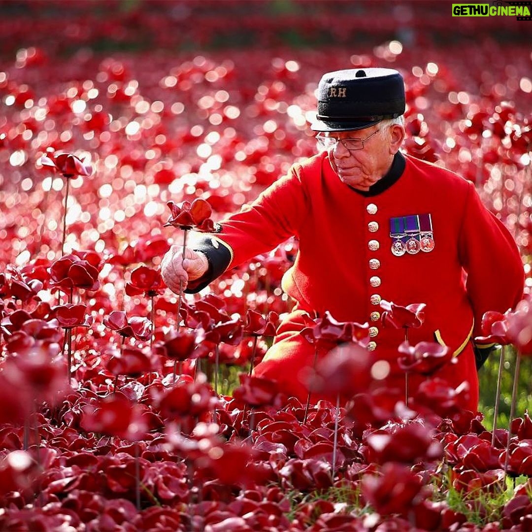 David Beckham Instagram - Today, on Remembrance Sunday, we give thanks for our Armed Forces and we pay our respects for the sacrifice that so many have made for our freedom. #LestWeForget