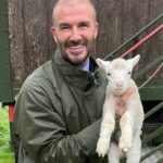 David Beckham Instagram - Found a little friend in the country 🐑 And no HarperSeven sorry we can’t keep it 🩷 we have enough G.O.A.Ts right now 🖤🩷 @intermiamicf