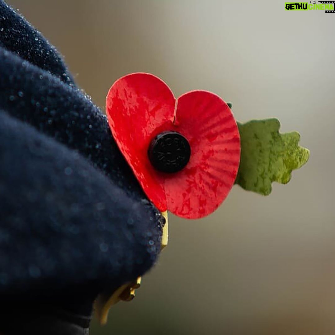 David Beckham Instagram - Today, on Remembrance Sunday, we give thanks for our Armed Forces and we pay our respects for the sacrifice that so many have made for our freedom. #LestWeForget
