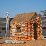 Dawn McCoy Instagram - Just a reminder - you’ve got 2 days left to visit @mrbones Pumpkin Patch and have 20% of your ticket sales go to our nonprofit, @lovingwayfoundation, benefiting for victims of child abuse and their families. A perfect reason to visit the pumpkin patch! 🎃 And I just want to take a minute to thank our partners who so generously contributed to our 2nd annual HalloWAY with @mrbones. Thank you… @onceuponafarm (& @jennifer.garner & @staceysgraham) for your delicious fresh fruit & veggie pouches and new refrigerated oat bars (Way’s favorite is the immunity pouch! Perfect for kiddos who can only enjoy purées due to swallow issues) 🍎 🍌 🥬 @lacroixwater for your delightful variety of sparkling waters that kept us all hydrated and happy as we explored the patch - and thank you to @goodcarmastudio for always connecting us. @thebouqsco for the farm-fresh flowers that added so much light and color to our party! 💐 @thymecafeandmarket - for the scrumptious cheese and charcuterie boards, skewers, sandwiches (MY fave!) cookies, and more that everybody couldn’t stop RAVING about @unitedsodas - with their crisp and refreshing sodas that satisfied kids and adults alike @nyxcosmetics for their special hostess gift for me (thank you, @merrittloughran & @mml_pr ) - including their exclusive, limited edition Halloween collection!!!🎃 And, lastly, thank you to our friends-in-frosting, @hansencakesbakery for always making our events so SWEET! And, again, a VERY heartfelt thank you to our @mrbones family - Lyra, Jenny and the staff and our @mml_pr family who dreamed of this magical yearly day last year and then made magic happen. We are SO lucky and incredibly humbled and grateful. These days just glow in our memory - and they continue to get even better with each passing year.🧡 #HalloWAY2023 #HalloWAY #lovingwayfoundation #mrbones 📷: @andrewcabral_photography